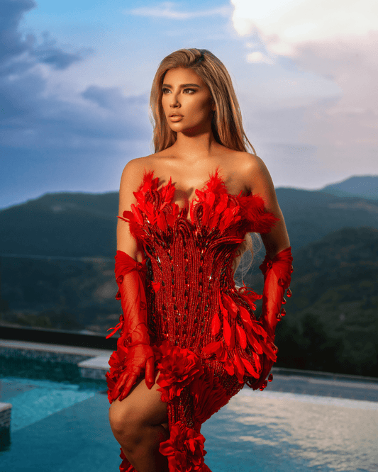 Atele Red Dress with Crystals and Feathers - BLINI