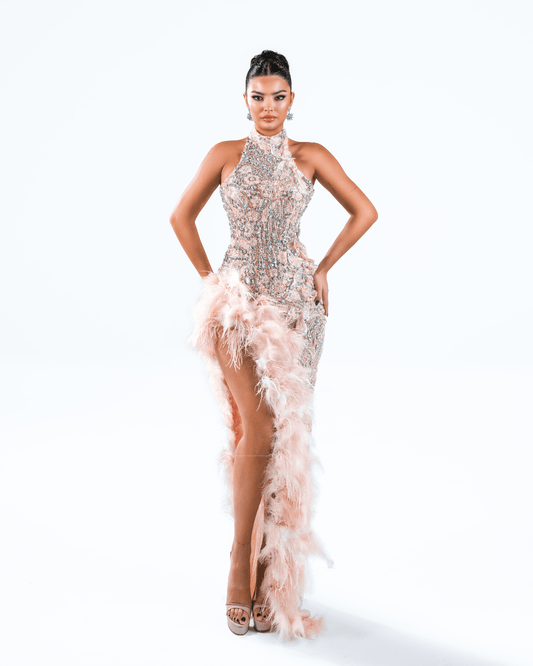 Elonore Pink Long Dress with Crystals and Feathers - BLINI