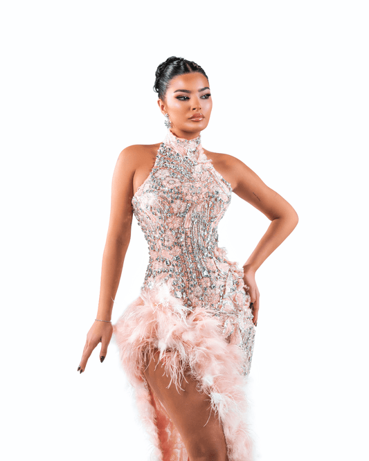 Elonore Pink Long Dress with Crystals and Feathers - BLINI
