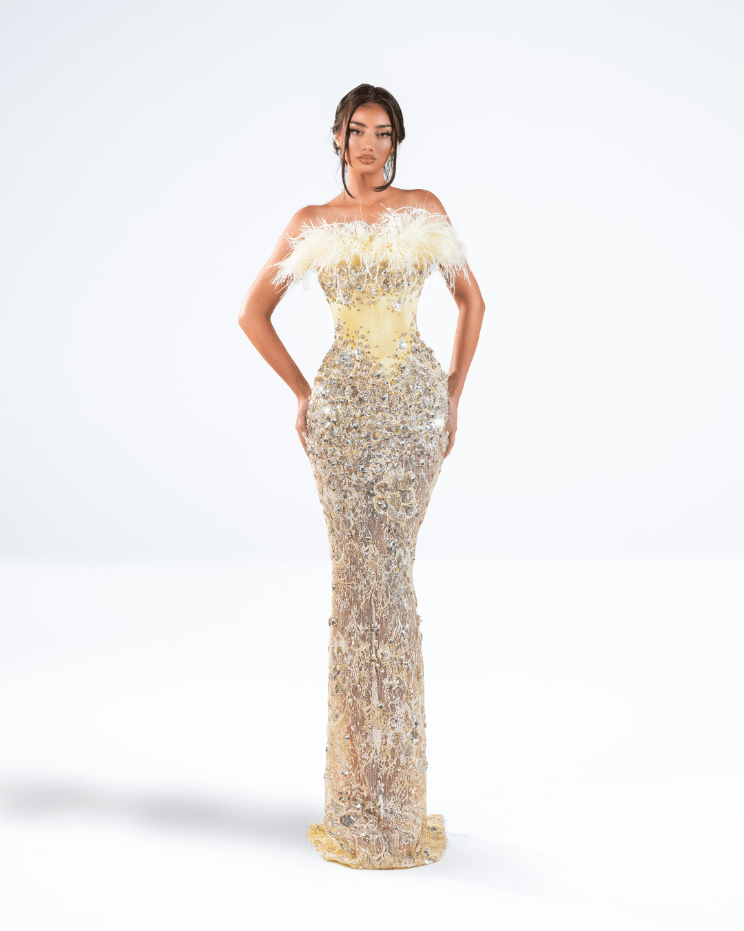 Janeya Yellow Long Dress with Crystals and Feathers - BLINI