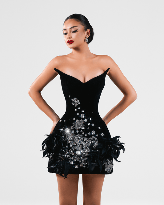 Olore Black Long Sleeveless Dress with Crystals and Feathers - BLINI
