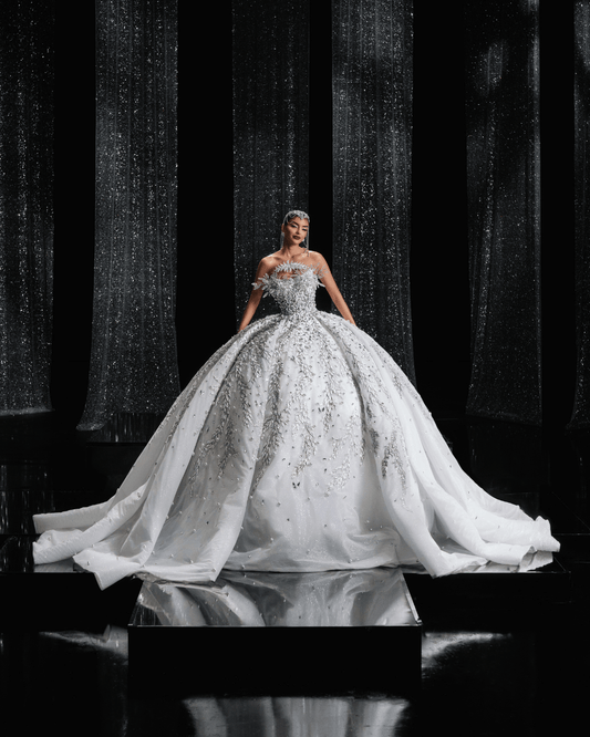 Poliere Bridal Dress, with Feather 3D Design - BLINI